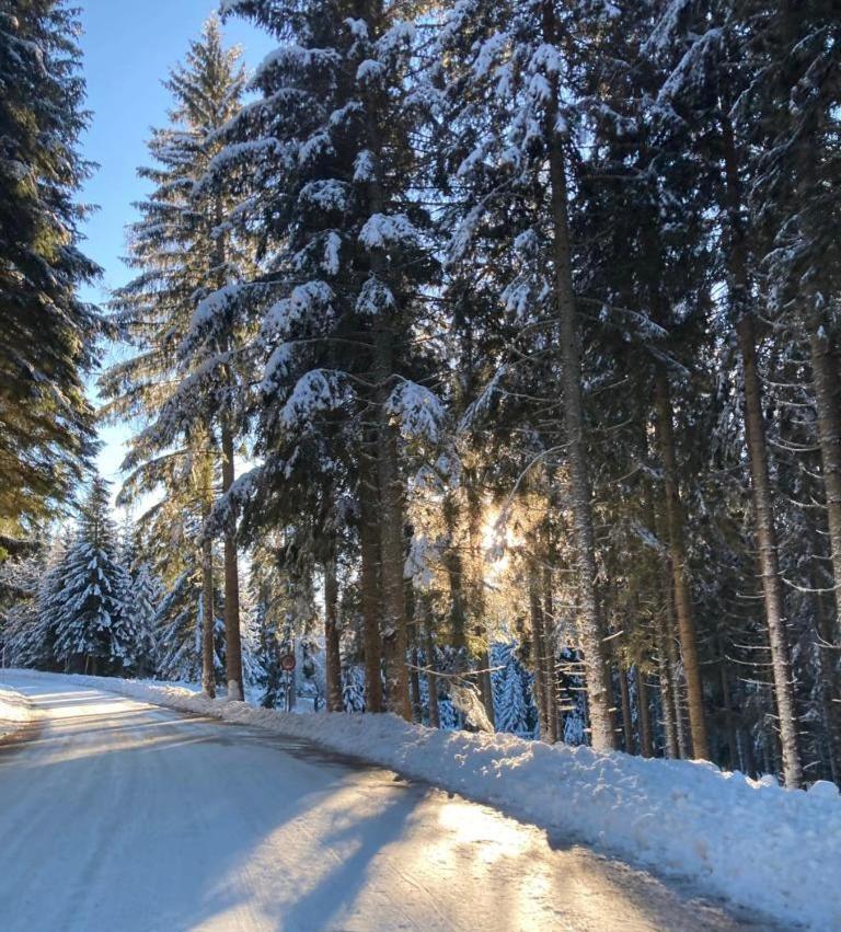 Kanzelhohe Familienapartment Sonne Und Schnee מראה חיצוני תמונה